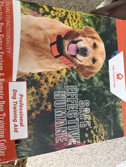 Electric dog fencing system