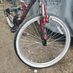 20inch Dual Susan  Magna 