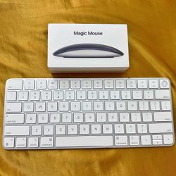 Apple Magic Mouse & Magic Keyboard 
