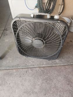Fan