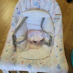 Baby Bouncer