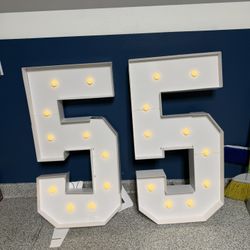 55 Number 4x2 Ft
