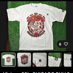 1997 Vintage Chicago Bulls Stater Shirt