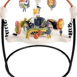 Fisher-price Baby Bouncer
