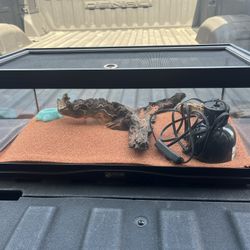 Critter Habitat Tank W All Accessories 