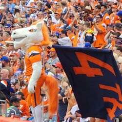 Broncos Vs Bengals 