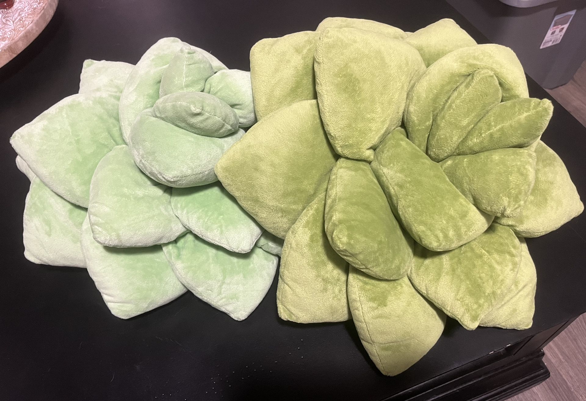 Set Of 2 Succulent Pillows
