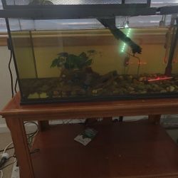 Fish Tank With Pump And Misc For Turtles & Fish