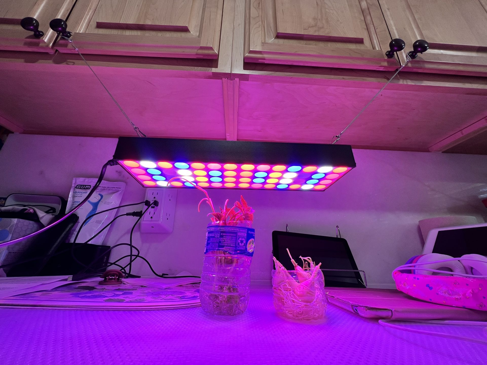 LED PLANT GROW LIGHT (12" x 4") with 2 hook hangers