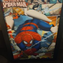 Holographic Superhero Picture