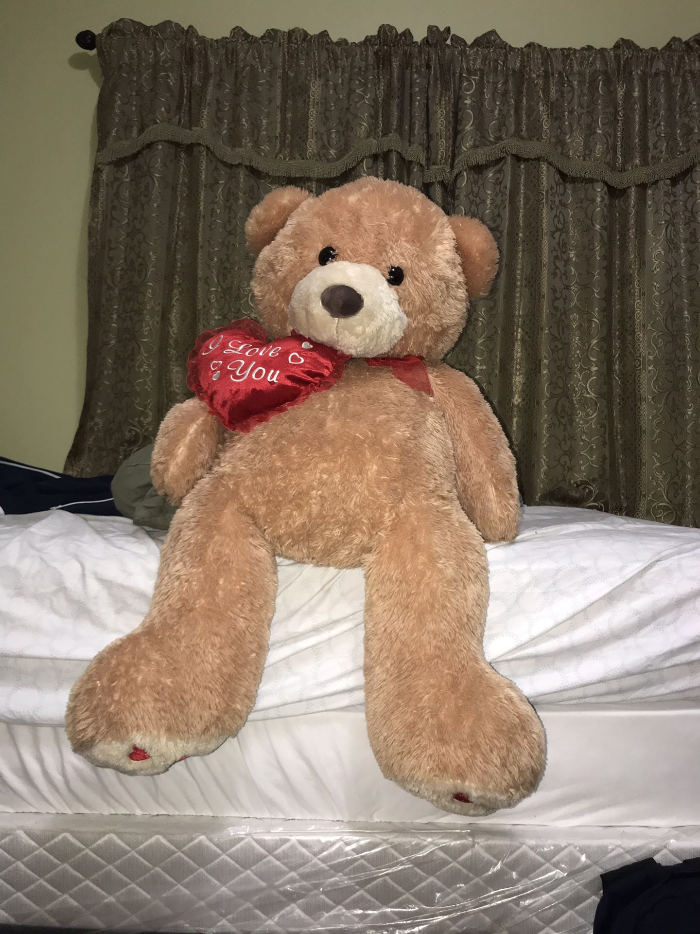 Giant Teddy Bear with heart