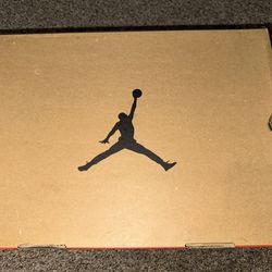 Jordan 12 “Twist”