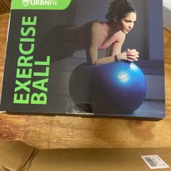 Exercise Ball 