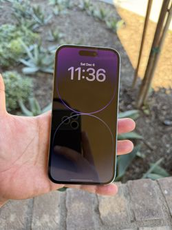 iPhone 14 Pro Unlocked