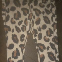 Women's Shorts