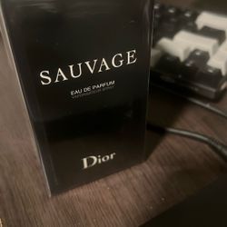 Unopened 1 of 1 Dior Sausage (rep)