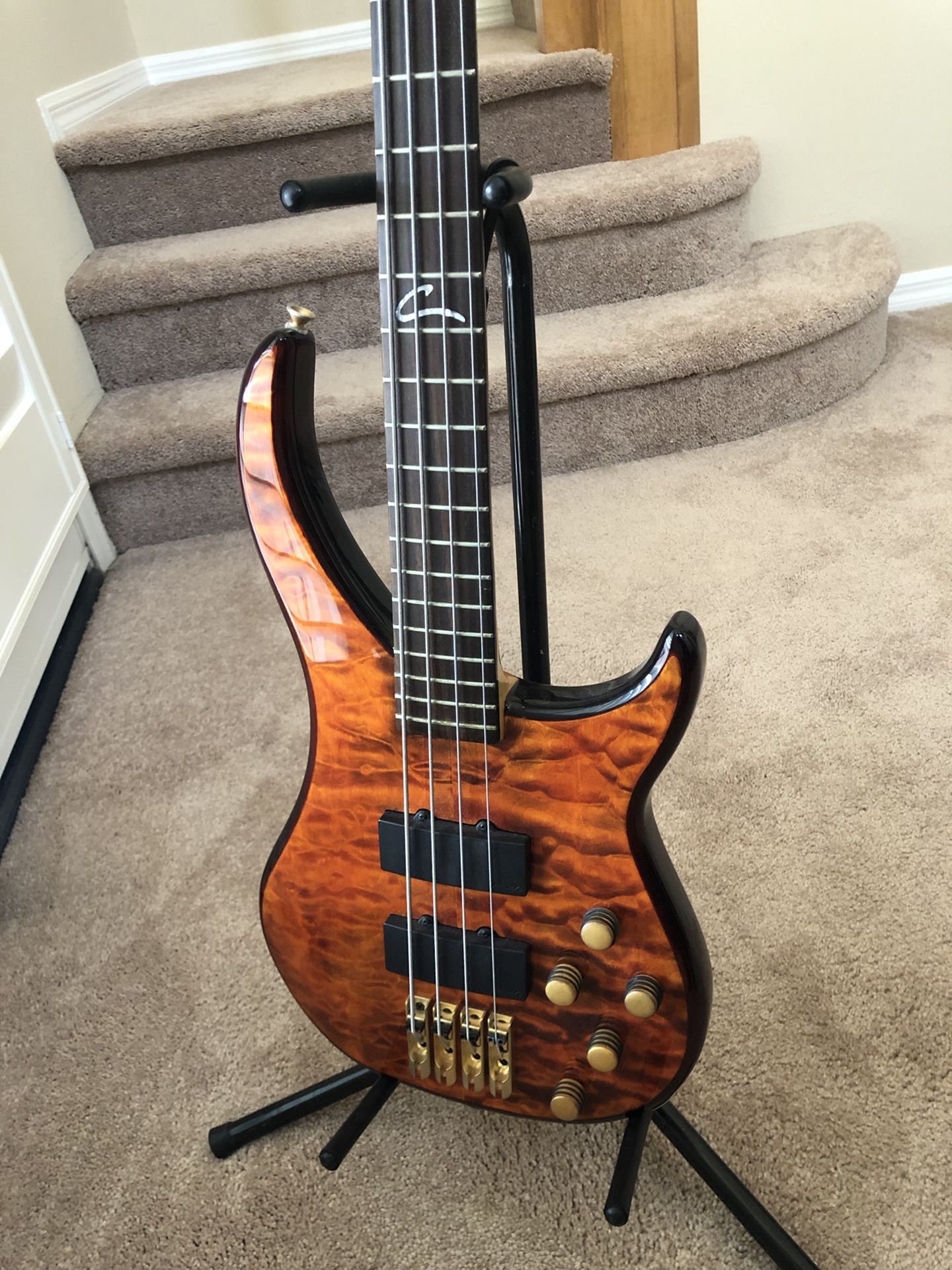 PEAVEY Cirrus BXP Bass guitar, new