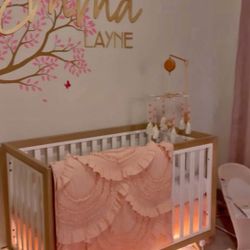3-1 Wooster Convertible Crib & Mattress 