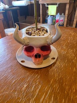 Bonsai Willow Tree in 3D Printed Skull Pot