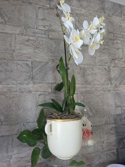 Sophisticated Realistic Looking Orchid