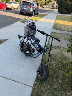 Gts bike