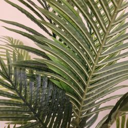 A Faux Areca Tropical Palm Silk Tree In Modern Planter!