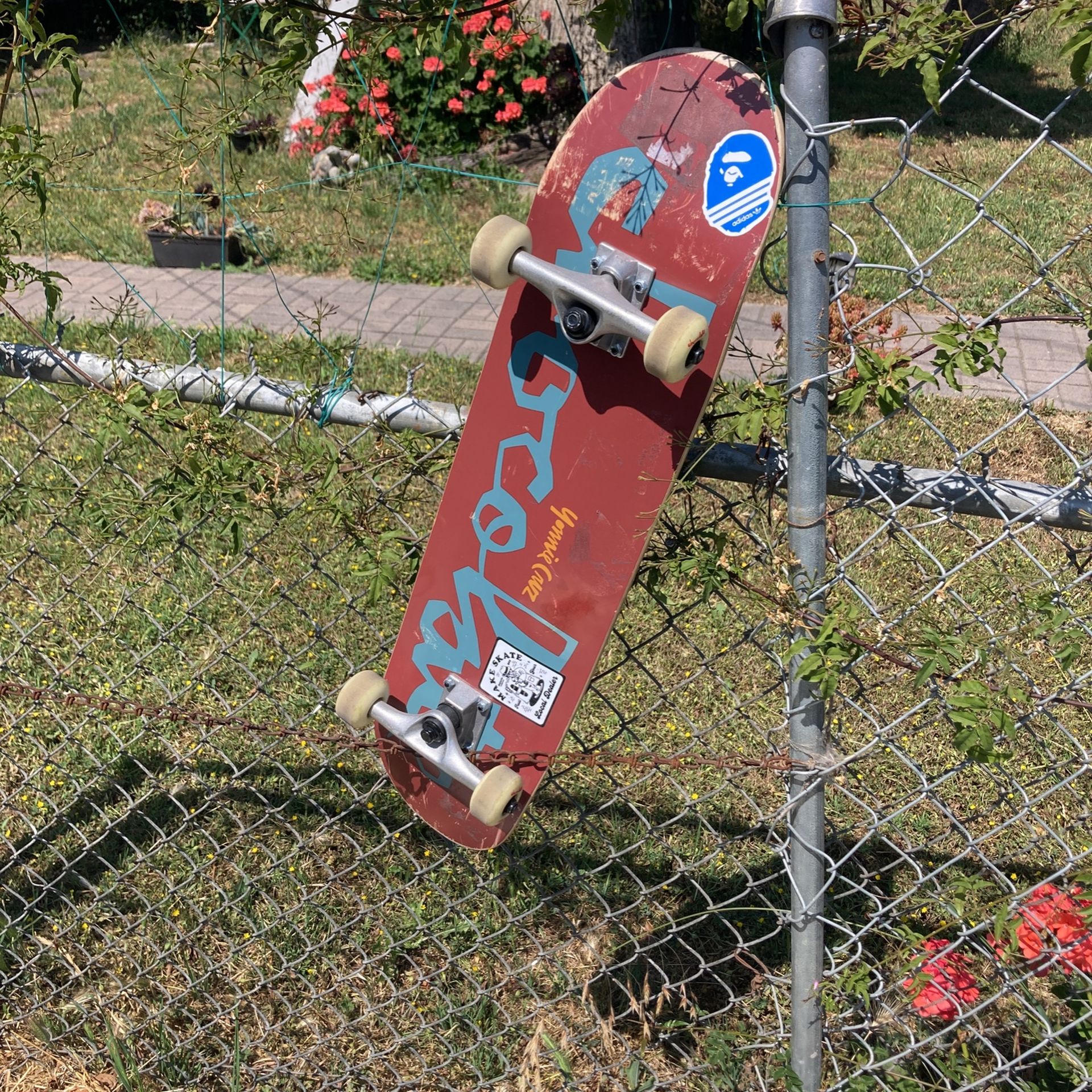 Skateboard