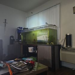 125 Gallon Acrylic Aquarium For Sale