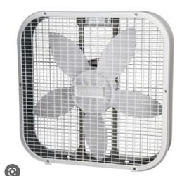 Fan