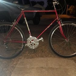 1986 Fuji Boulevard Reddish Brown 