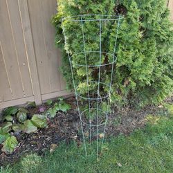 Tomato Plant Cages- 4 rings- Galvanized Steel