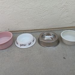 Dog Dishes 