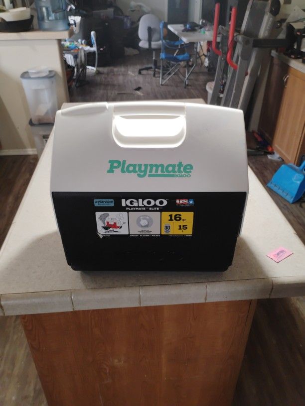 15qt. Playmate Igloo