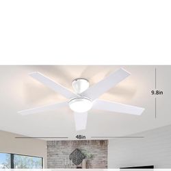 Ceiling Fan 