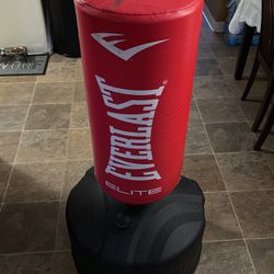 Punching Bag For Sale 