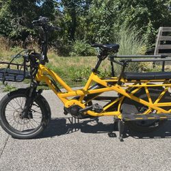 Tern GSD S10 E Bike