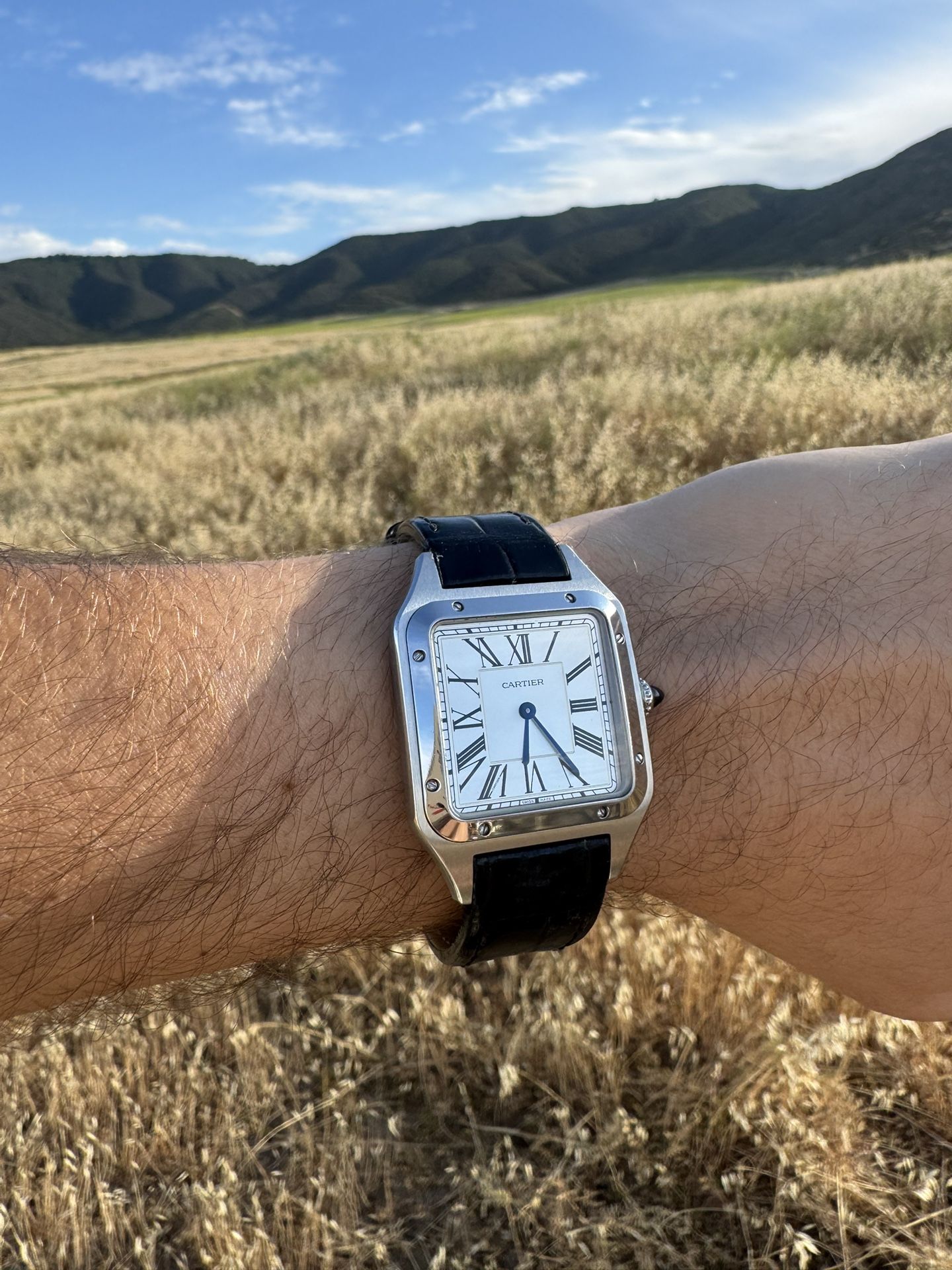 Cartier Santos Dumont