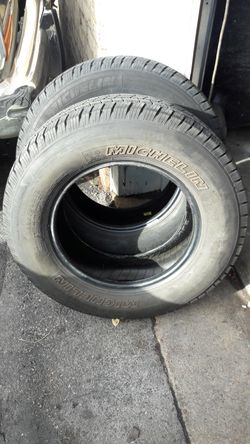 Michelin tire