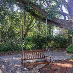 Mahogany Wood Porch/Tree Swing