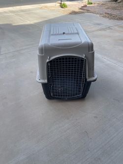Large dog crate