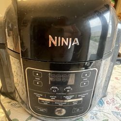 Ninja Air Fryer 10in.