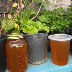 Miel    Container Un Litro  Lleno