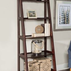 Basics 5-Tier Ladder Bookshelf Storage Organizer, Tall Bookcase60tall-wide16
