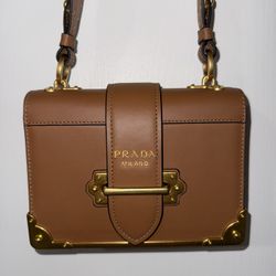 Brown Prada 