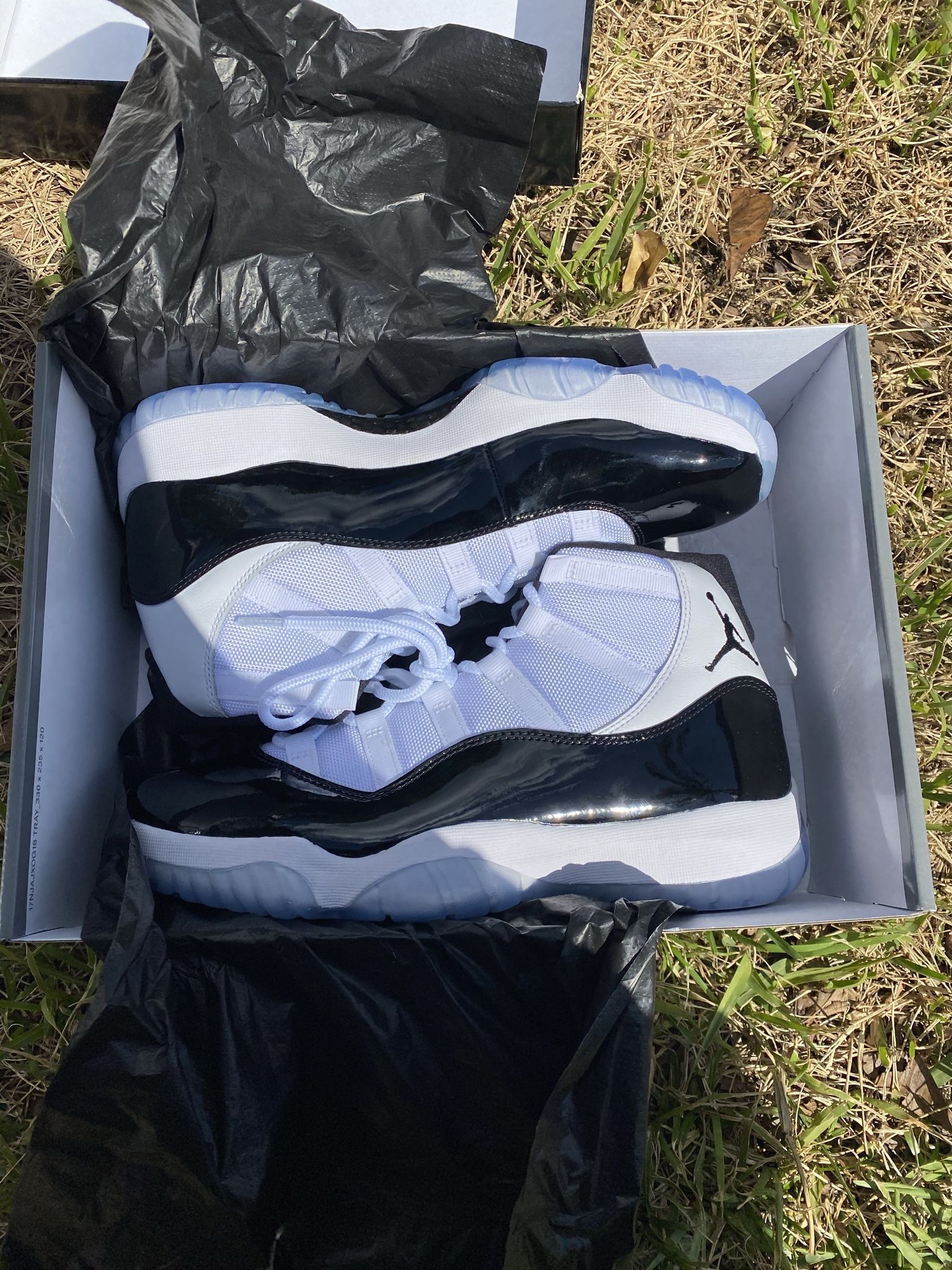 Concords 11s Size 10