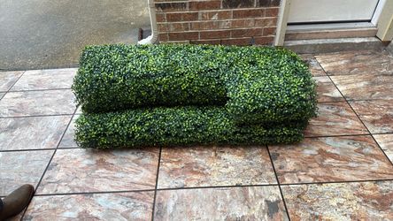 Artificial Boxwood Panel Roll