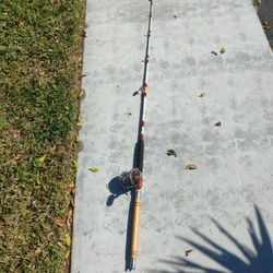 Penn 113H 4/0 Special With Slammer Rod