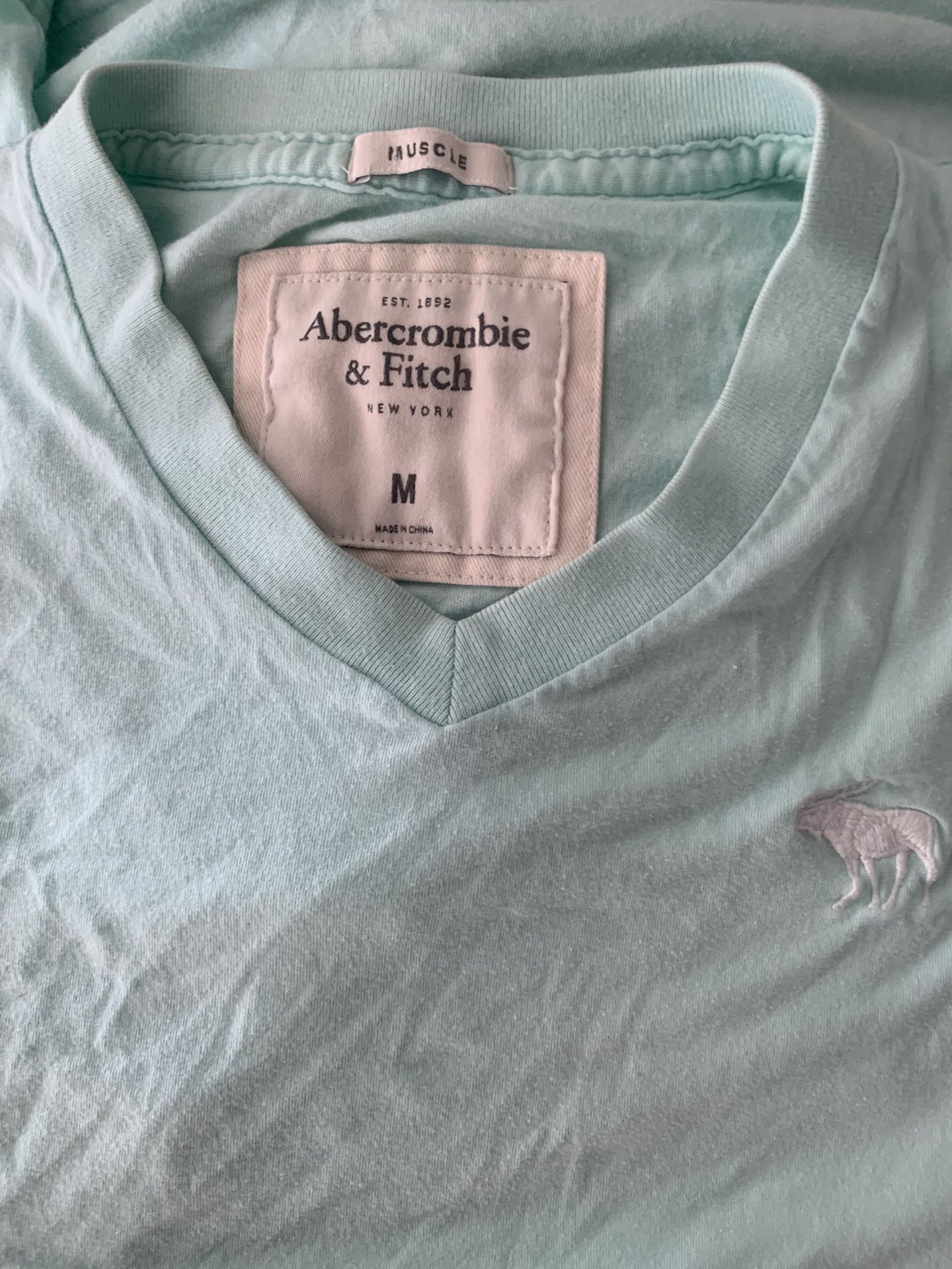 Abercrombie And Fitch Men’s V Neck Shirt