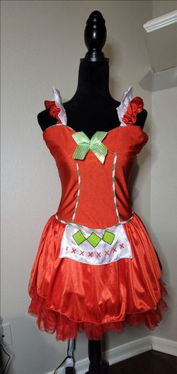 Strawberry Shortcake Women's Adult Costume Size M/L 8-10