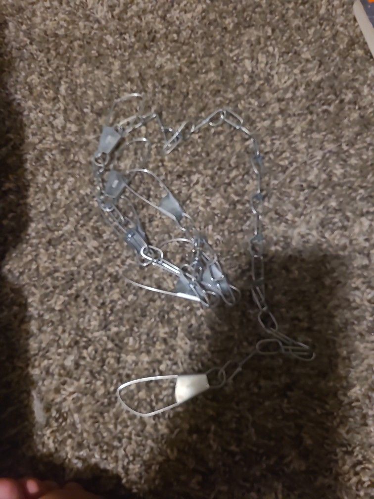 Fish Hook